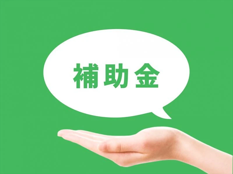2. 補助金制度の活用法